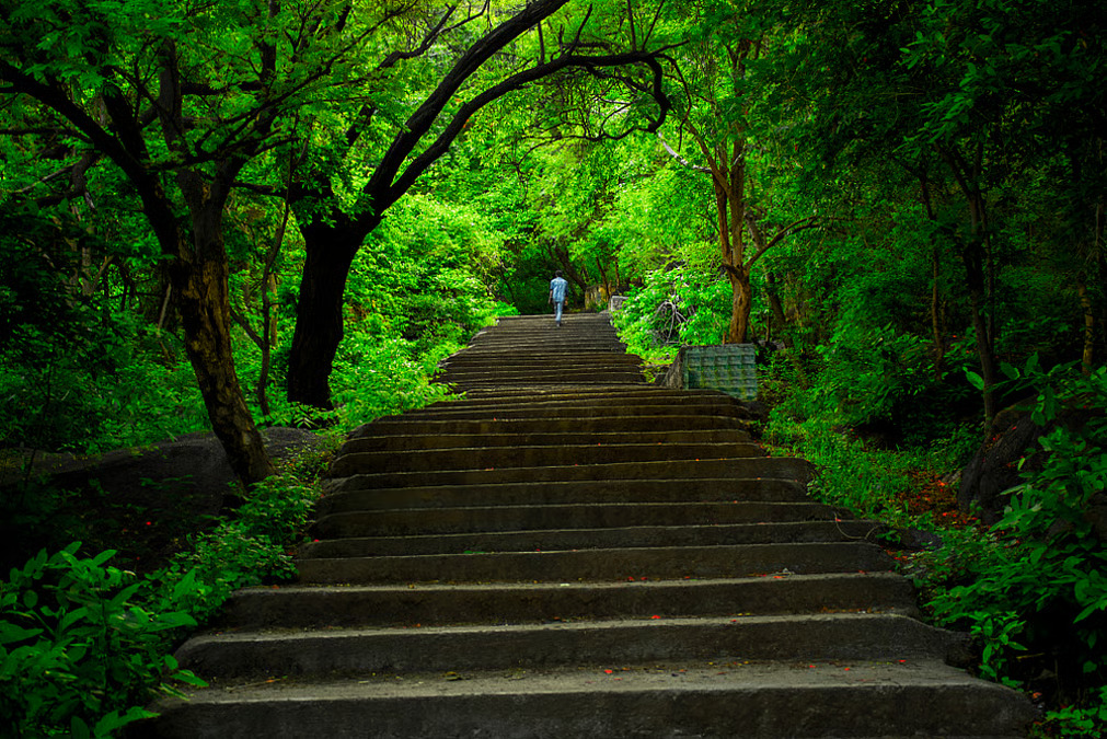 Chennai to Yelagiri hill station weekend trip